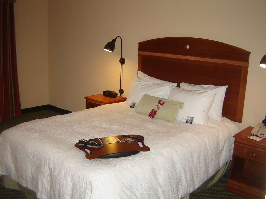 Hampton Inn By Hilton Montrose Pokoj fotografie