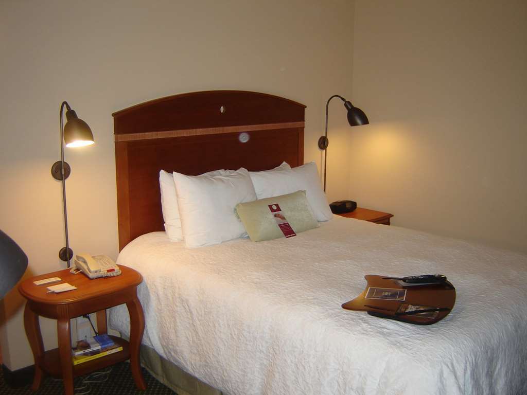 Hampton Inn By Hilton Montrose Pokoj fotografie